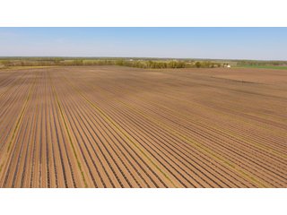 Property photo 27 - LAND AUCTION - 492+/- ACRES OFFERED IN 7 TRACTS IN SULLIVAN & KNOX COUNTIES, INDIANA